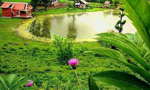اینفوگرافی: ۵ مقصد تفریحی زیبای ایران در تابستان اینفوگرافی: ۵ مقصد تفریحی زیبای ایران در تابستان